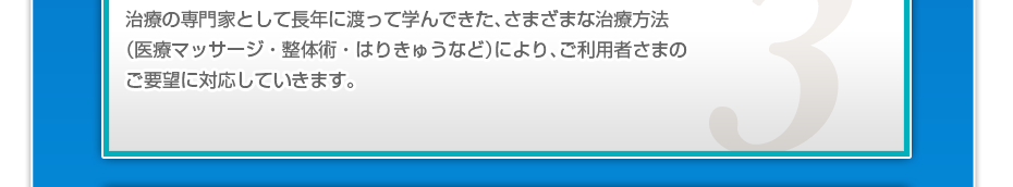 治療の専門家として長年に渡って学んできた、さまざまな治療方法（医療マッサージ・整体術・はりきゅうなど）により、ご利用者さまのご要望に対応していきます。